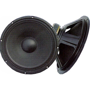 RE12-100-8 12  basový 100W 8ohm